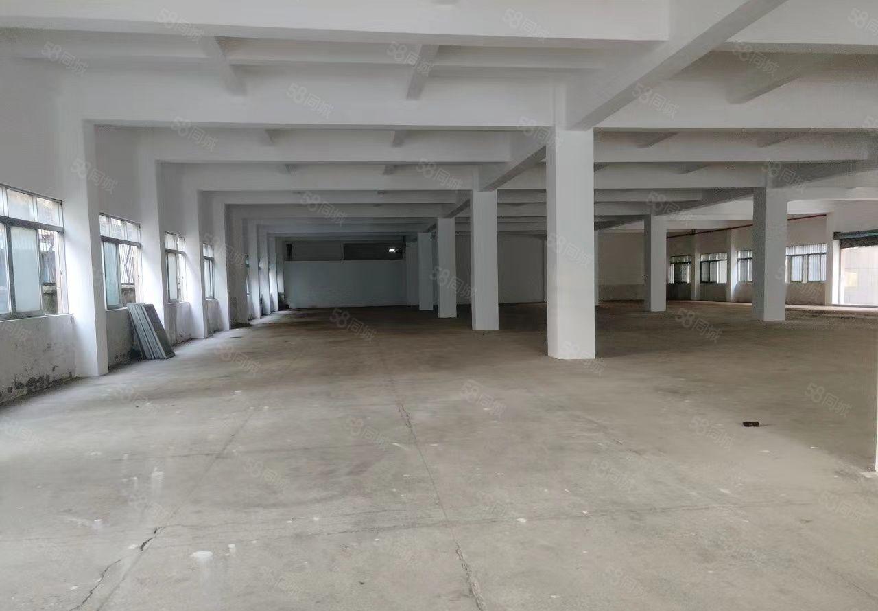 长安厦岗九成新独门独院厂房出租 临近虎门 交通方便