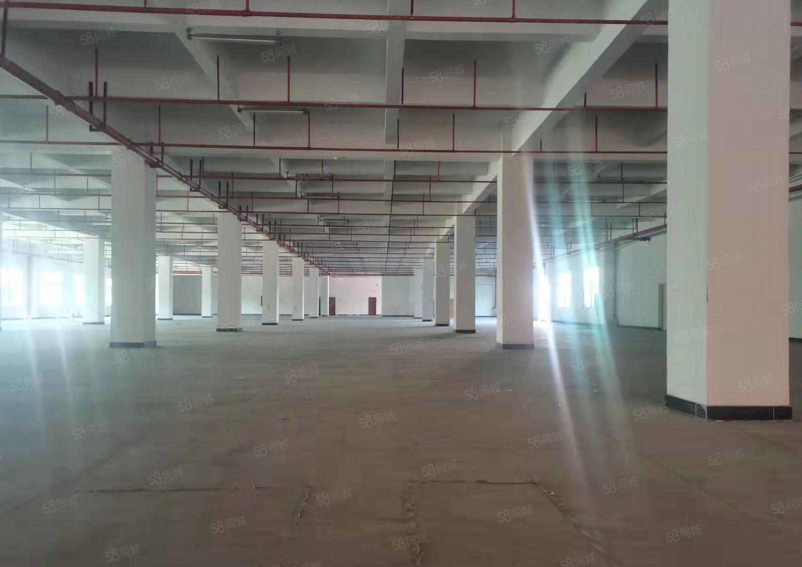 长安镇咸西社区一楼整层3000平方厂房出租 主线到位