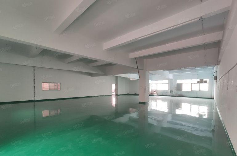 长安上沙新空出二楼460平5500块打包全新装修工业厂房出租