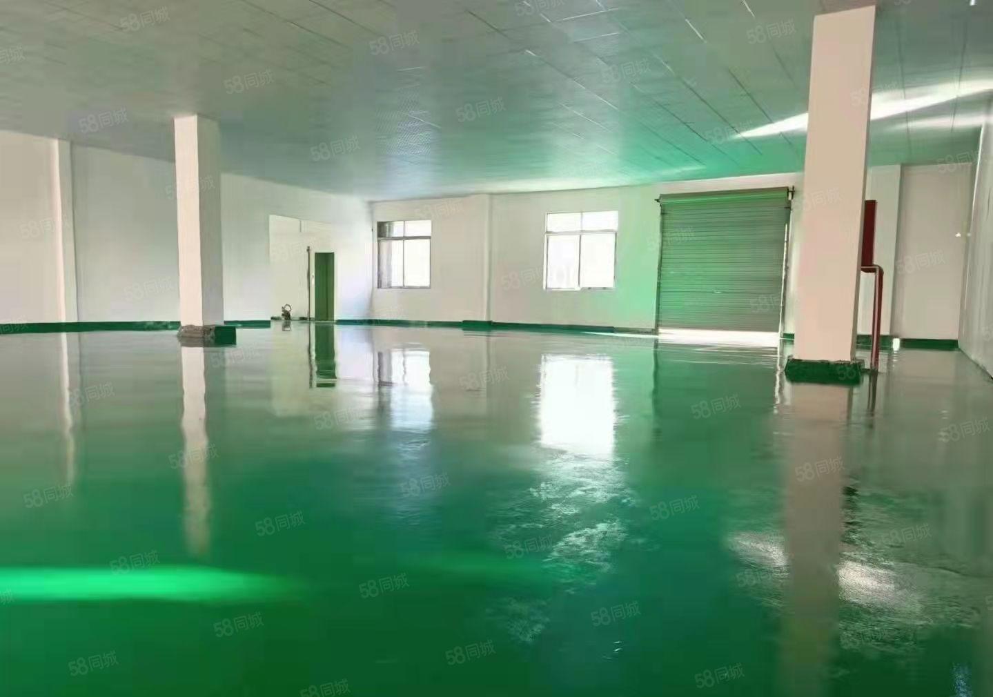 长安厦岗振安路旁1500平标准厂房出租，实际面积，全新装修