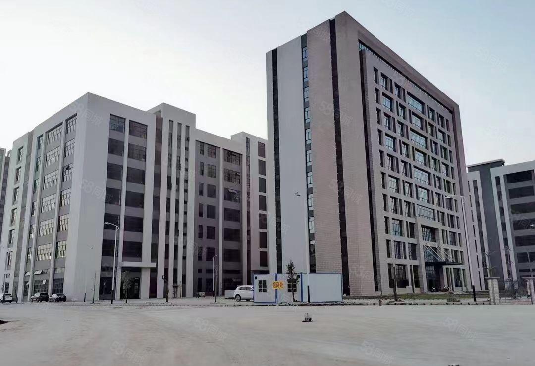 长安乌沙新出原房东独院标准厂房可分租形象好