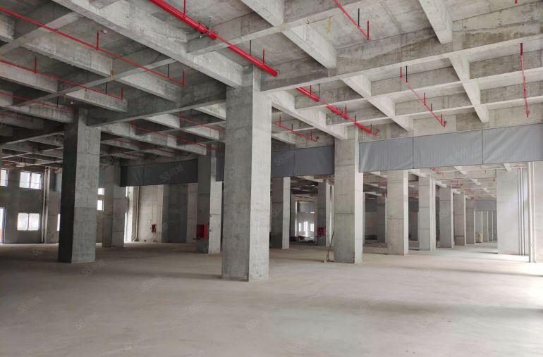 无公摊开发商直租全新高标准厂房15元起十年长约