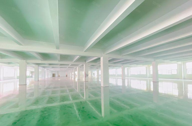 沙头南区楼上4800平，260平起分租，光线好，停车位多