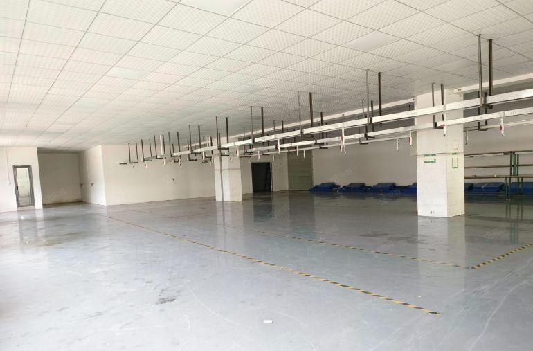 长安增田新出楼上1150平方豪华装修.拎包入驻标准厂房出租