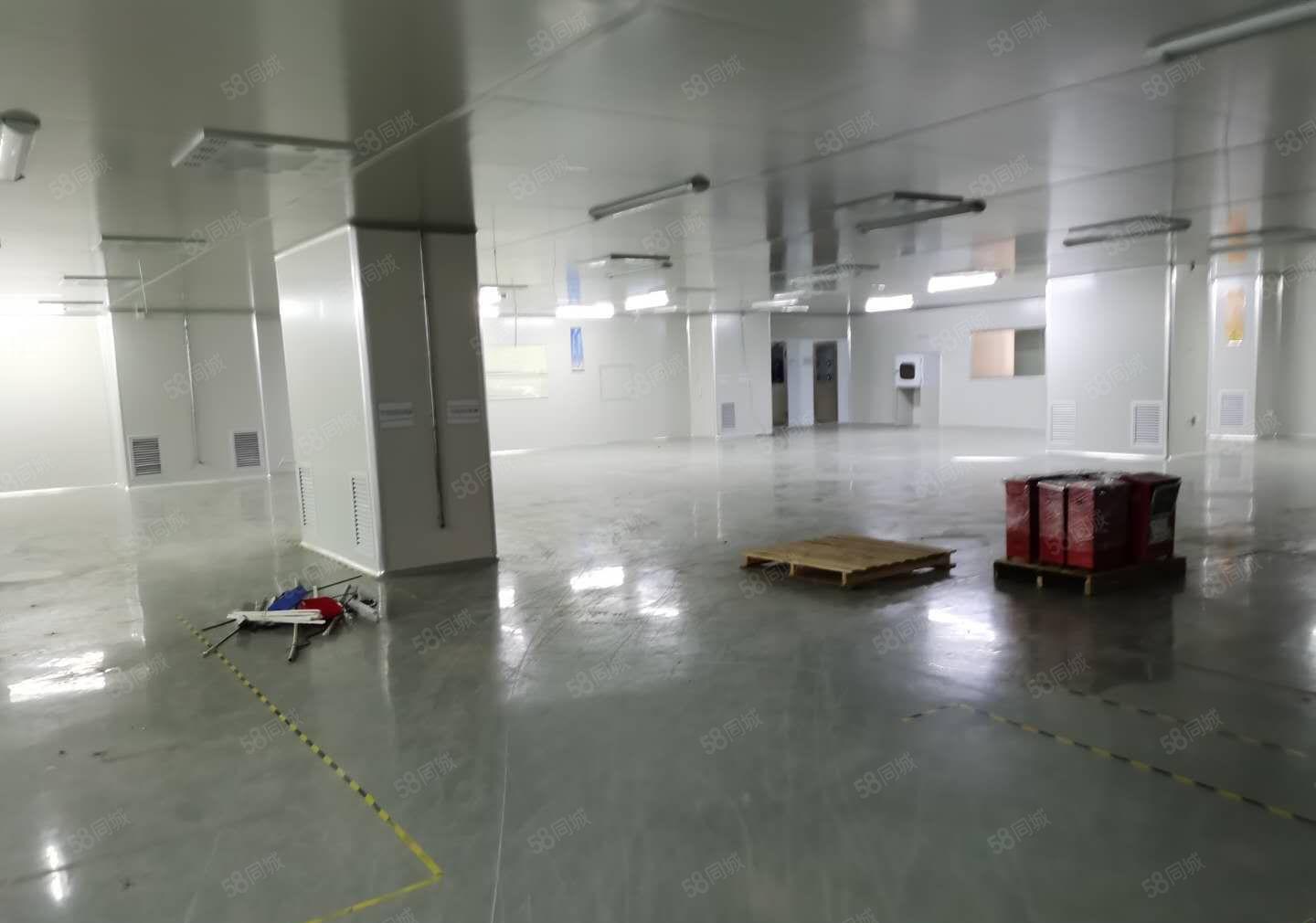 楼上精装修厂房招租1000平方，工业厂房水电齐全，交通方便