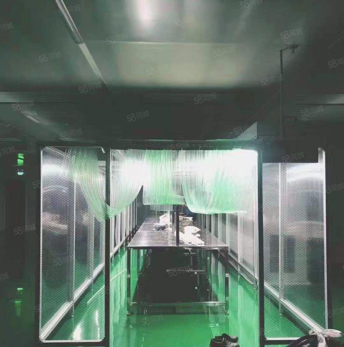 新出豪华装修标准厂房1500平低价出租，可分租。