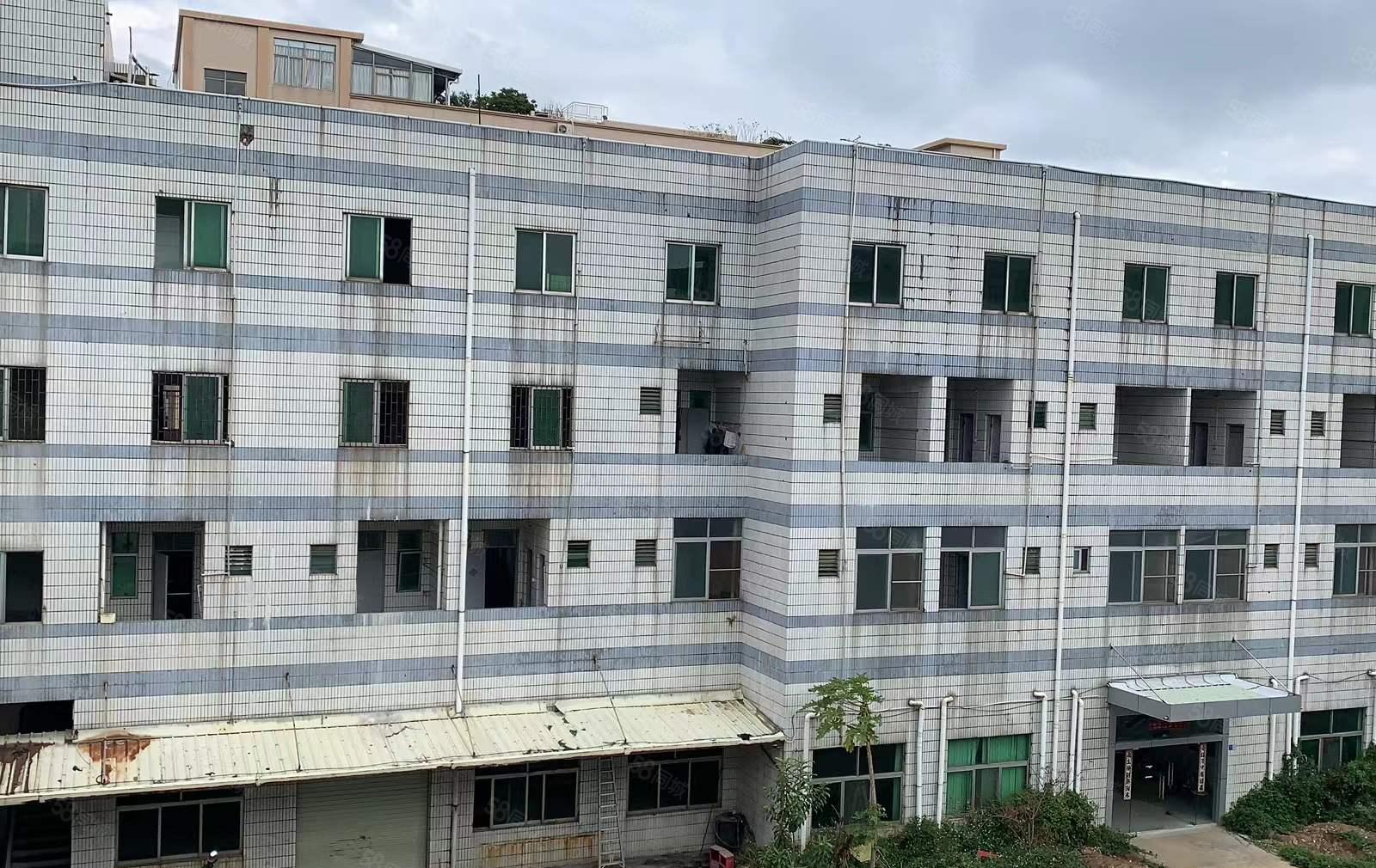 长安厦边，独门独院，标准工业厂房，可办环评，可分租厂房出租