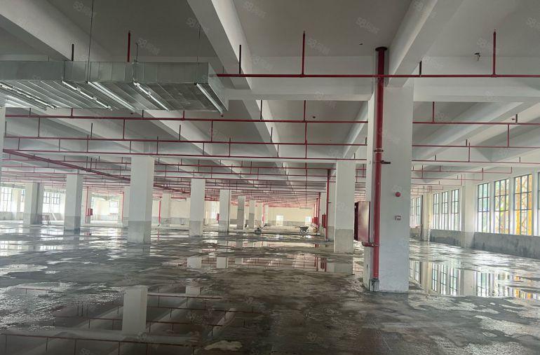 东莞长安中心区域原房东新建厂房出租 可分租