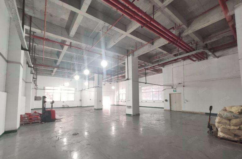 一楼500平19块 长安乌沙社区低价厂房出租