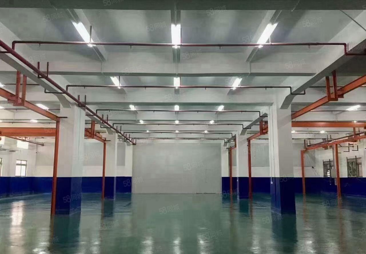 （精装修，带行车）长安镇上沙工业园一楼2000平厂房出租！