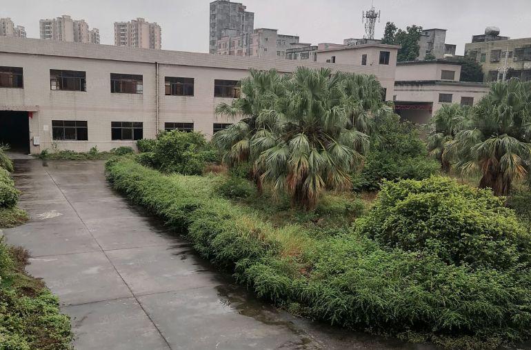 长安宵边新出原房东标准独院 实际面积低价出租   空地超大。