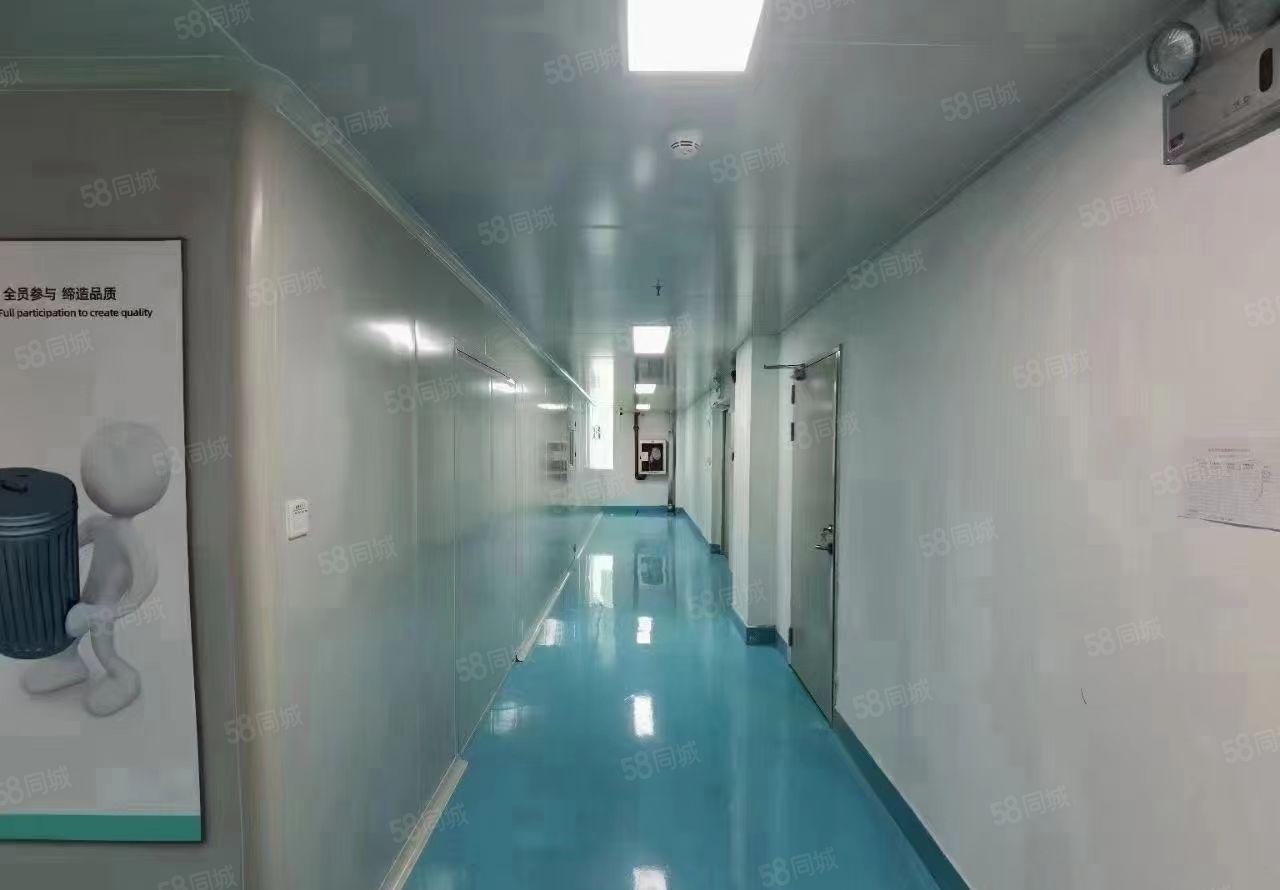 长安镇新空出精装修厂房，2000平方整层水电齐全，无需转让费