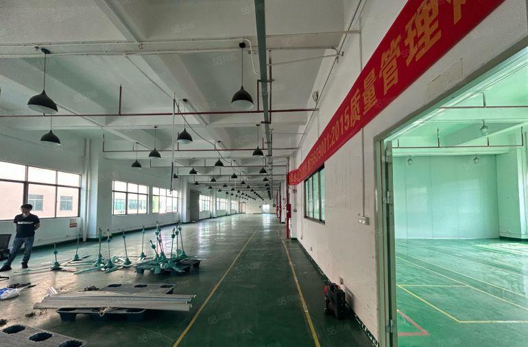 长安沙头新出楼上全新带装修重工业厂房招租