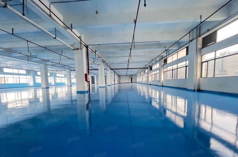 长安沙头精装修1500平厂房出租 可分租 低价出租 加工