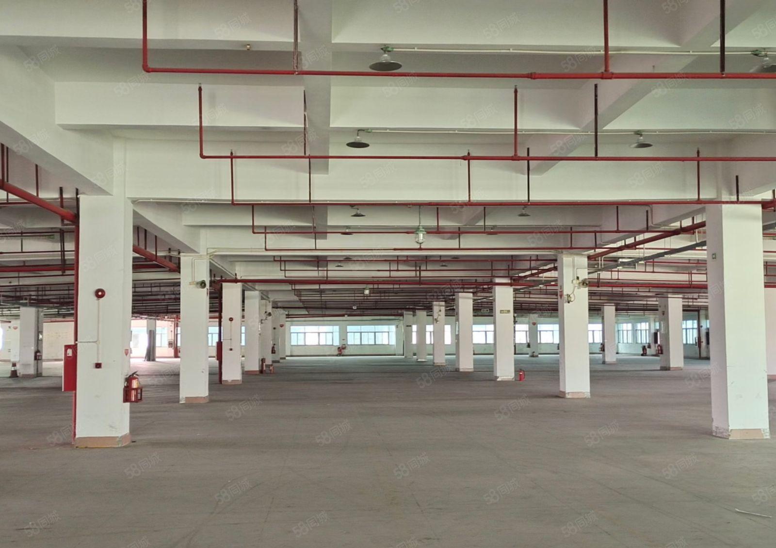 新出一二楼厂房各6250平可分租上市公司形象空地大带红本