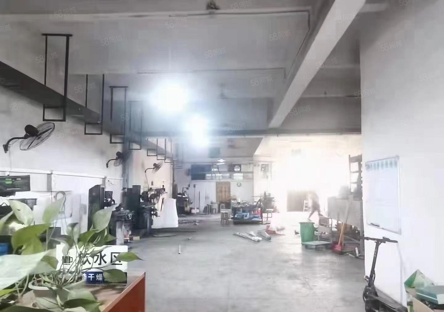 长安锦厦靠近松岗新出实业客分租一楼560平