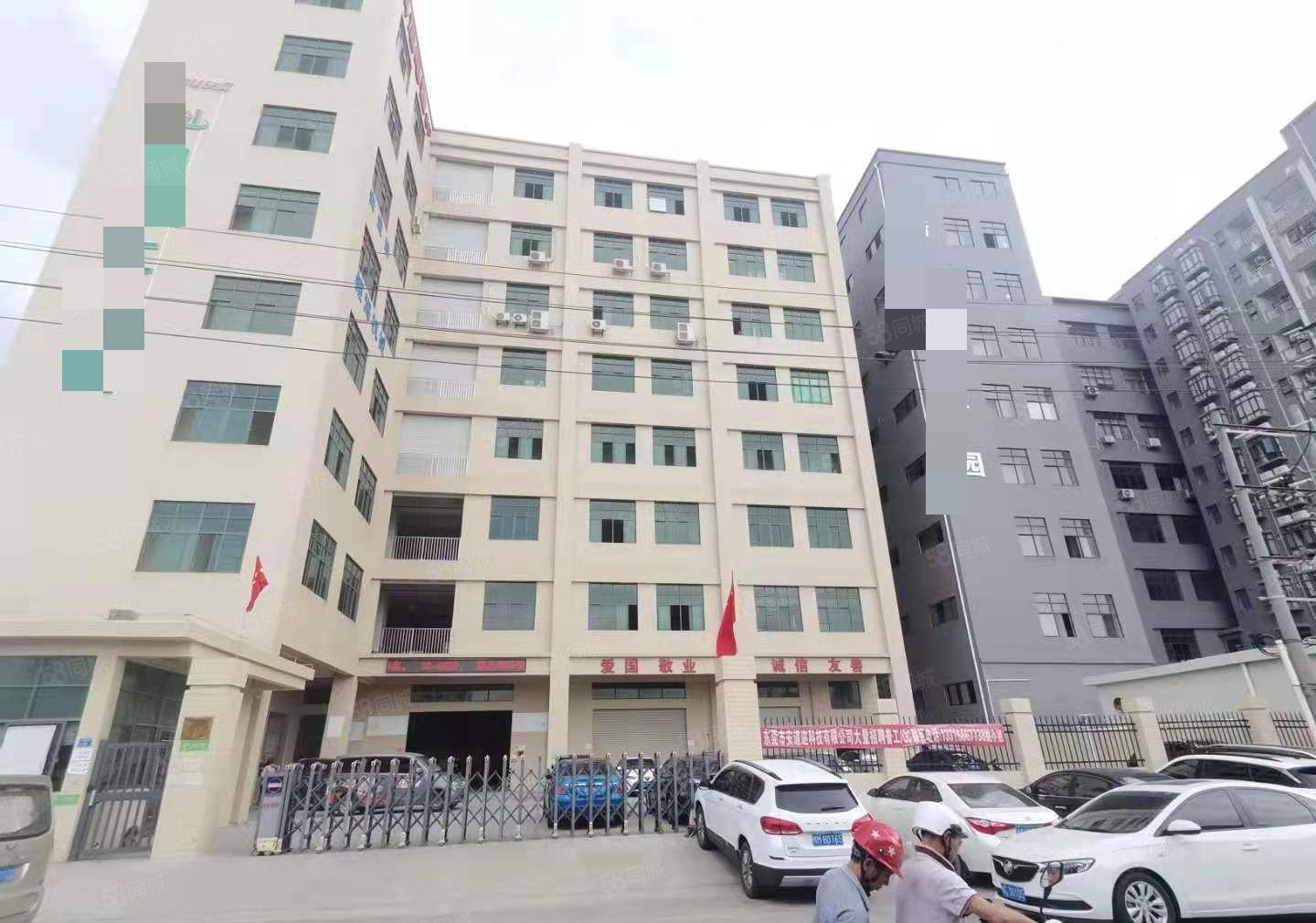 出租长安沙头东大街附近，一楼1200平，价格优惠