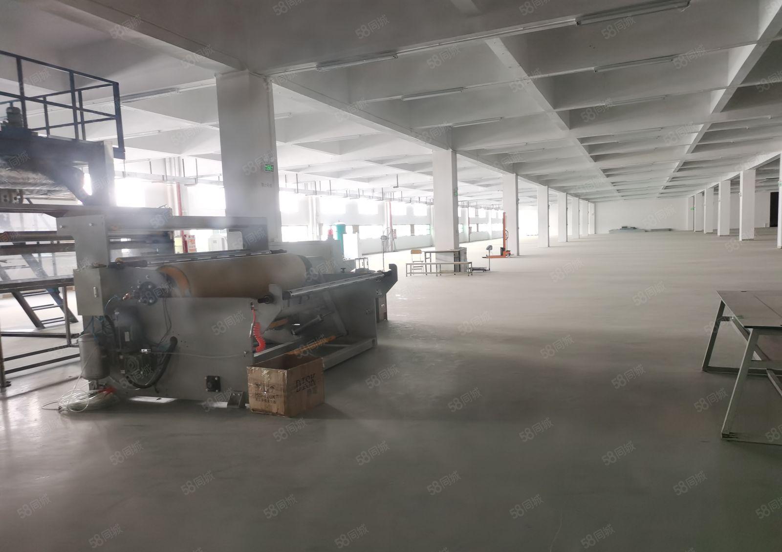 带超声波，印刷，喷油，洗水，喷涂，丝印环保批文厂房出租