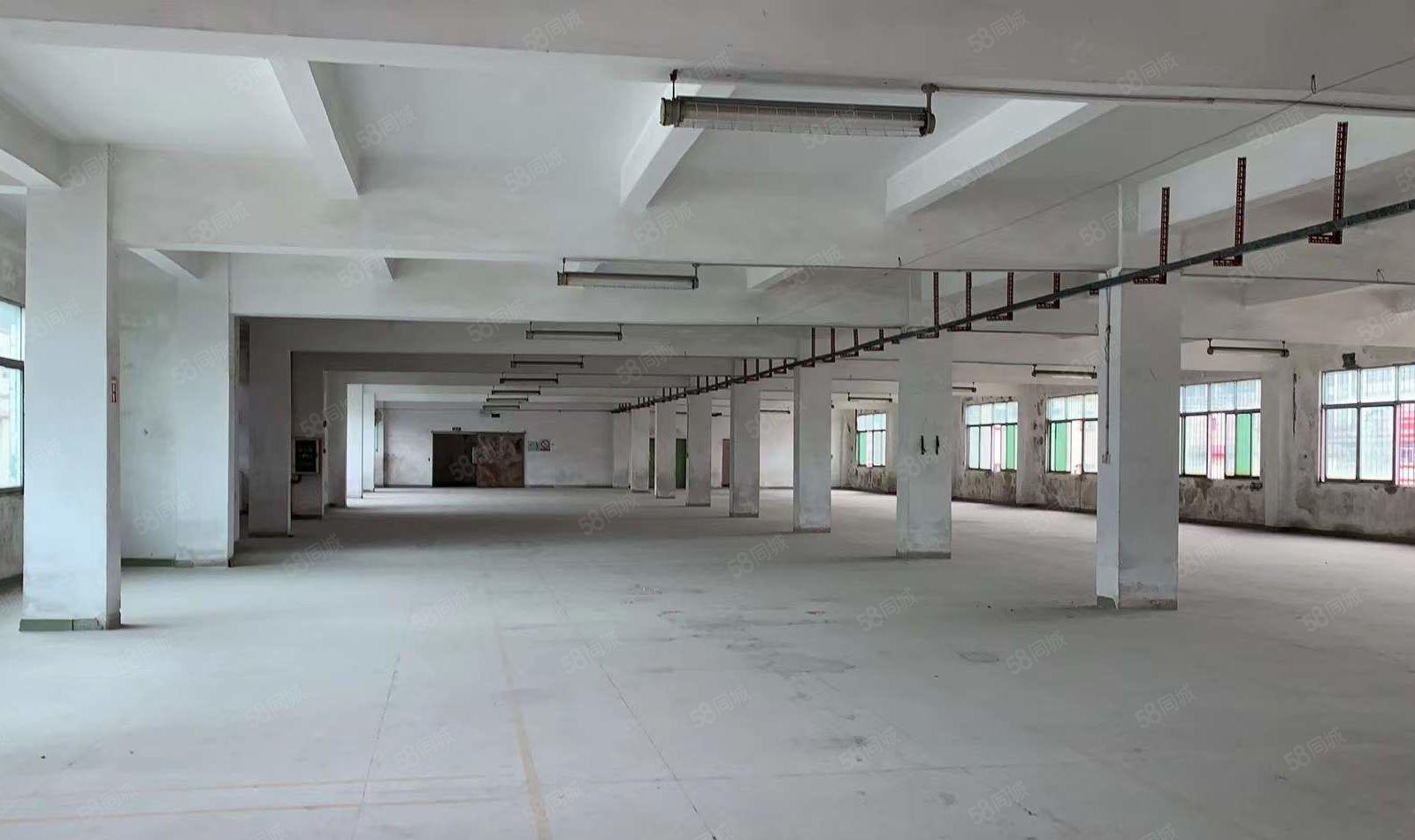 长安厦边，独门独院，标准工业厂房，可办环评，可分租厂房出租