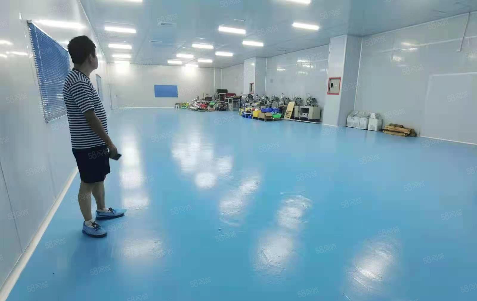 豪华装修水电齐全标准厂房整层出租