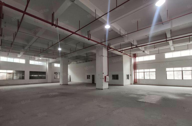 一楼1200平层高7米报价19块 长安厦岗低价工业厂房出租