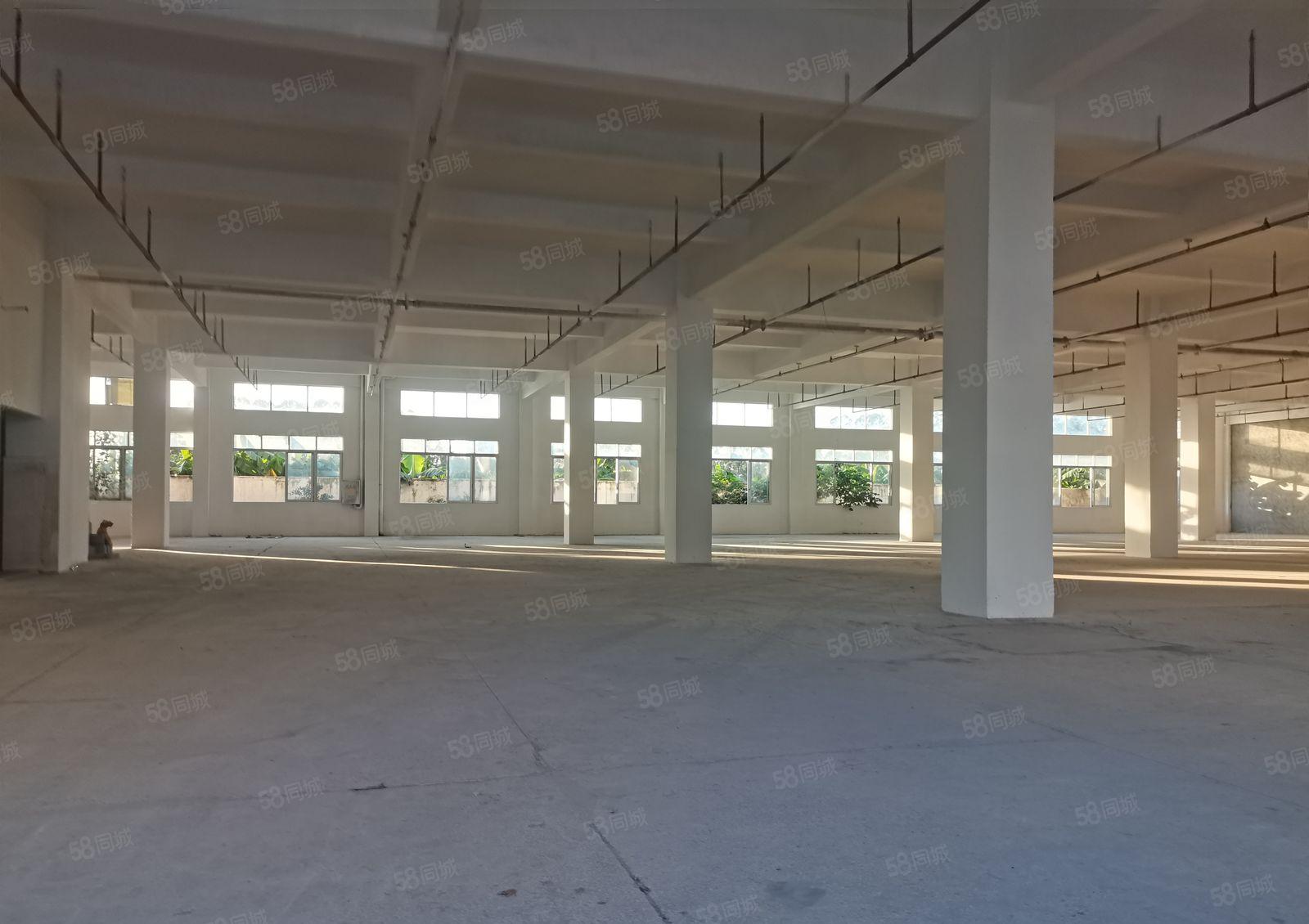 原房东租 长安镇宵边社区新空出一楼厂房出租 面积2100平方