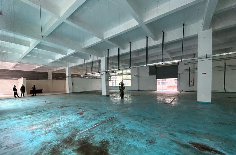 沙头新空精装修六米高一楼标准厂房招租可分租