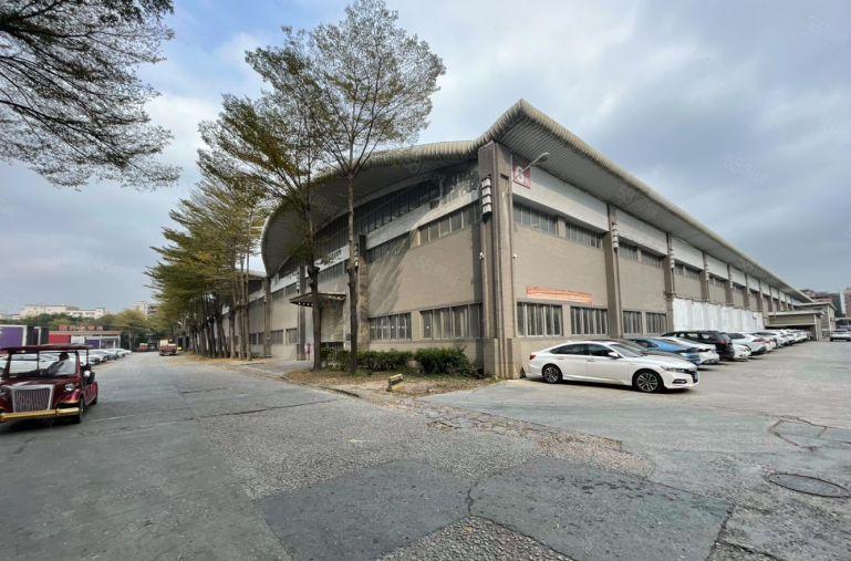 长安镇工业园区独栋钢构厂房出租1万平方，滴水9米高形象好