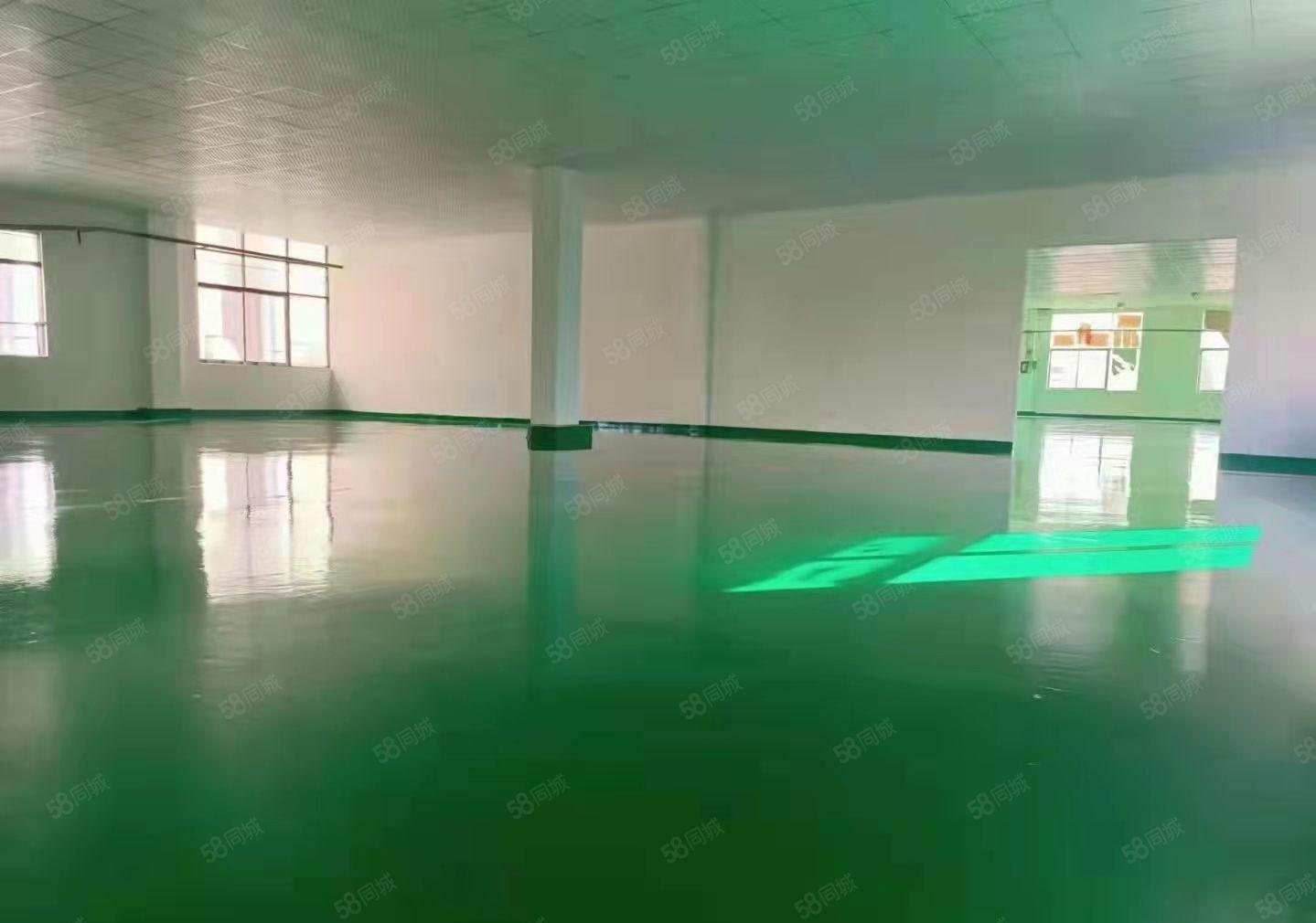 长安厦岗振安路旁1500平标准厂房出租，实际面积，全新装修