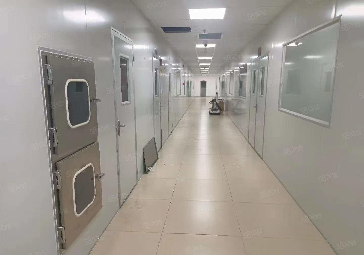 长安镇沙头社区两层无尘车间厂房出租7800平无转让费 可分租