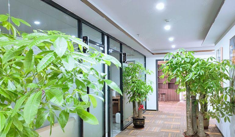 长安全新十万级无尘车间转租，豪华办公室装修。面积4900平