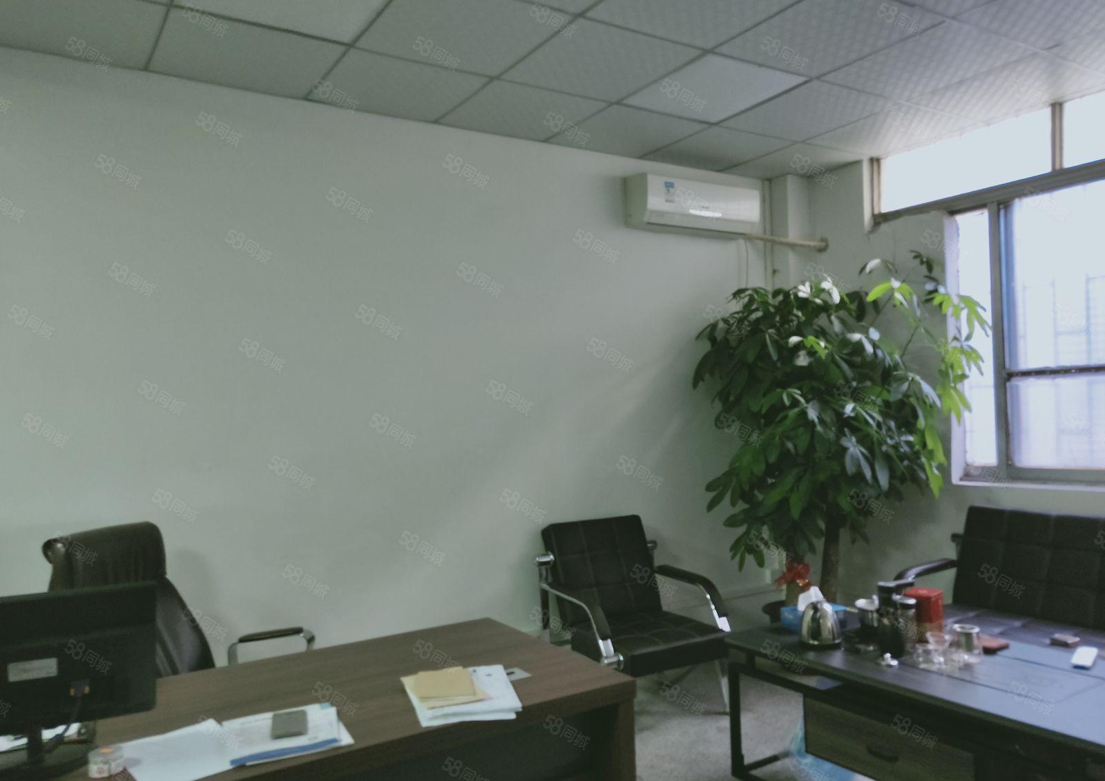 长安上沙中南南路附近新出原房东一楼550平招租