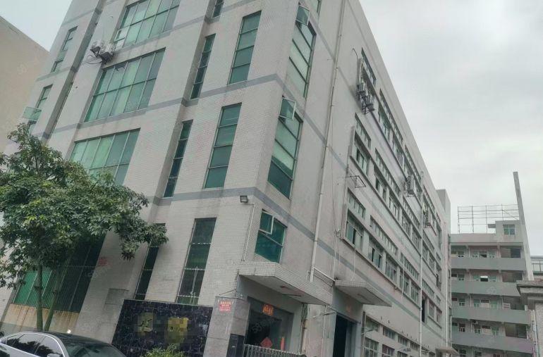 独院厂房出租！长安新民新空出5800平方带宿舍精装修价格便宜