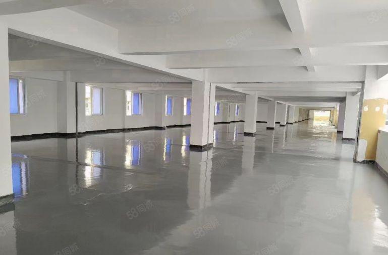 长安沙头特价厂房400平起租带全新地坪漆车位充足