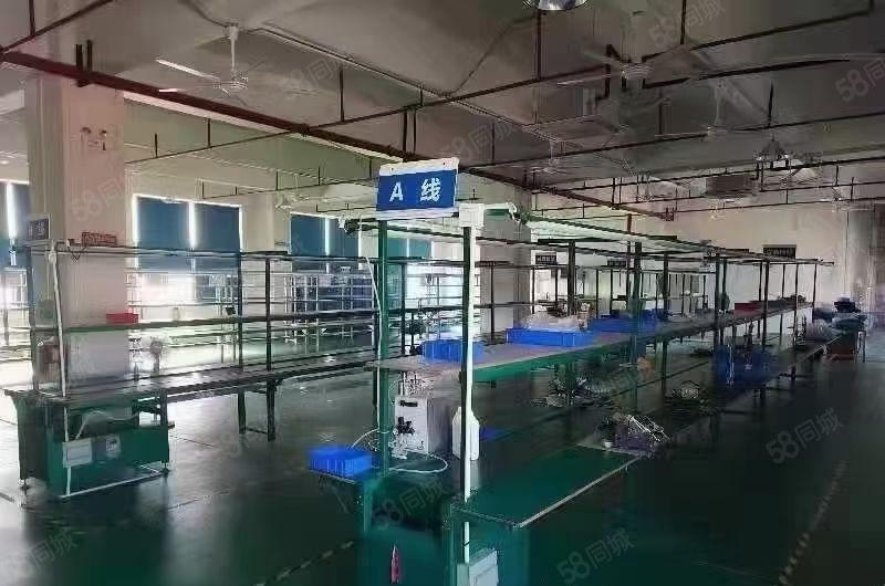 豪华装办公室前台修流水线水电齐全