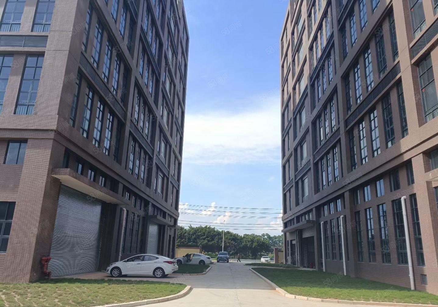 新出38888平全新红本厂房大小分租形象好空地大