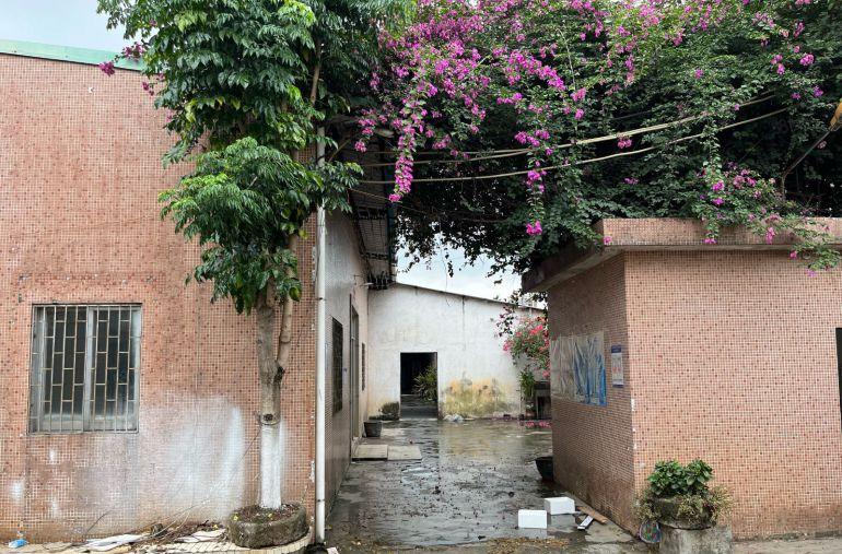 桥头靠近惠州新出单一层砖到顶钢结构2800平方，底价出租