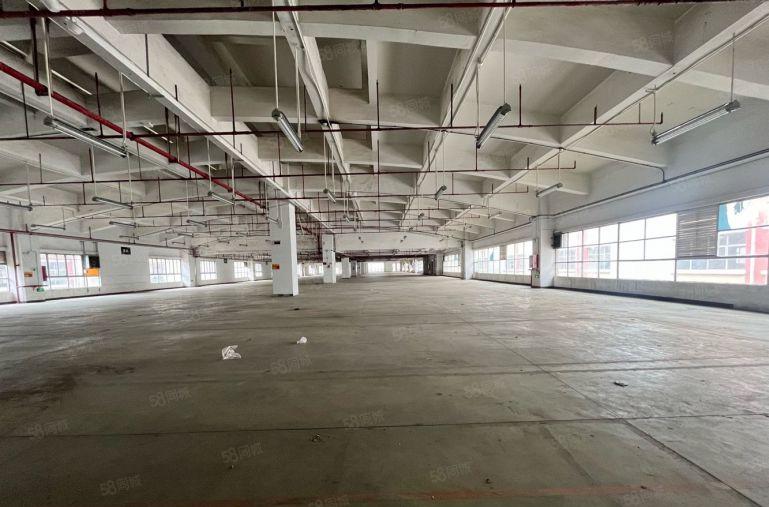 长安沙头独院5000平厂房出租 可整租要分租 可做仓库