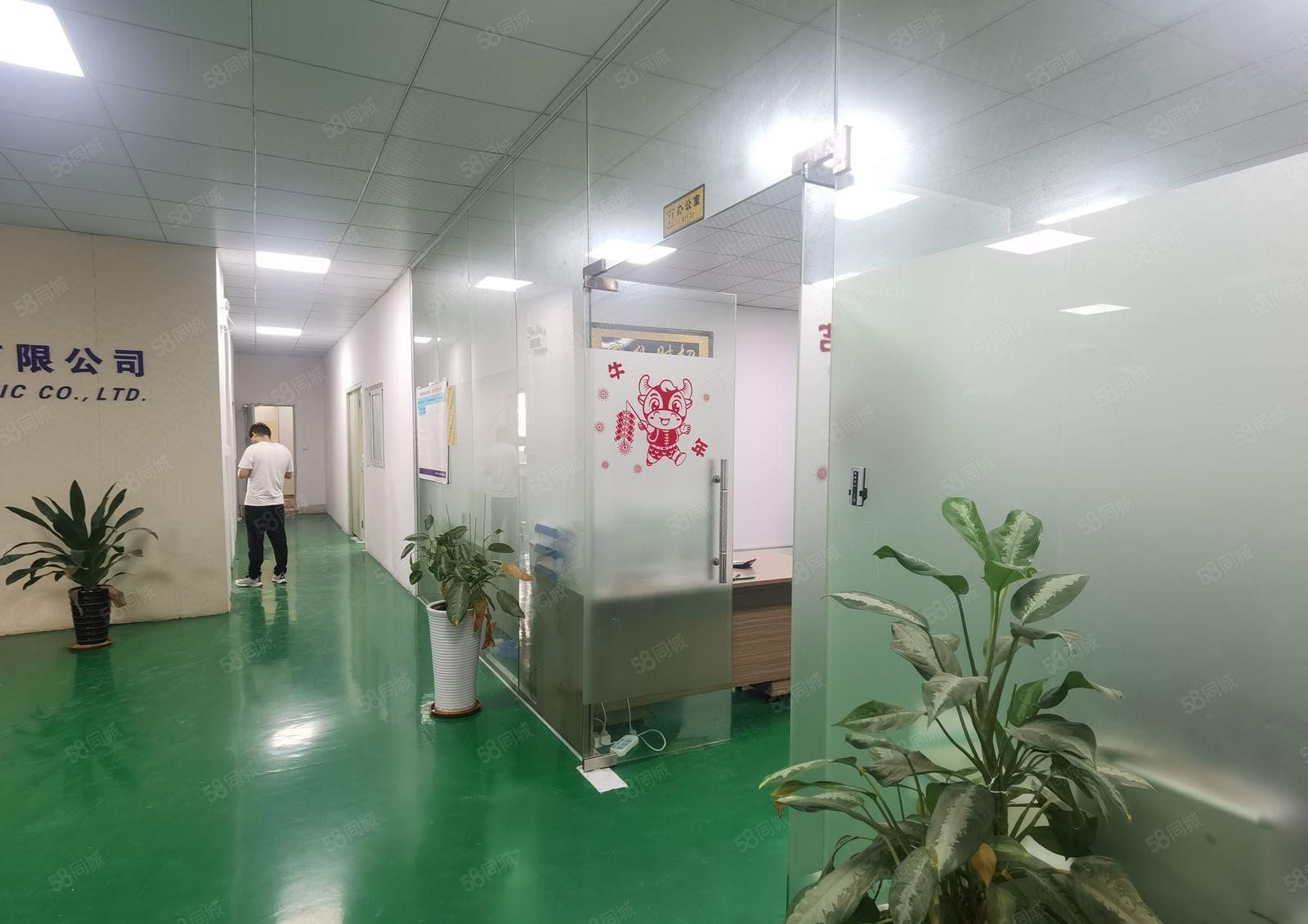 乌沙新出三楼550平，精装修厂房出租