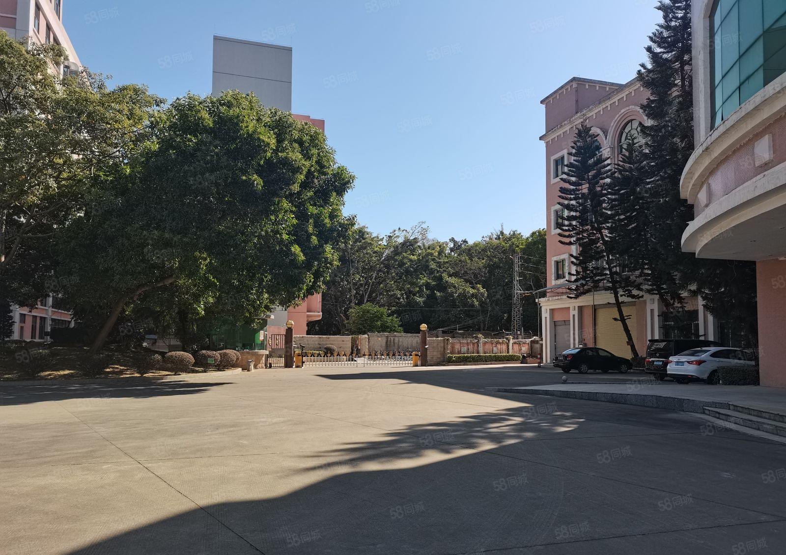 原房东招租 长安镇乌沙社区厂房二楼1000平方出租 可办环评