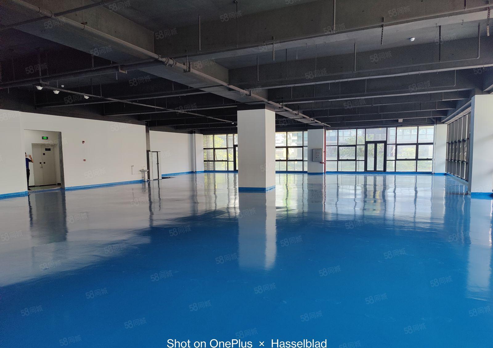 500起租长安临深高新园区全新厂房出租可生产可办公近高速路口