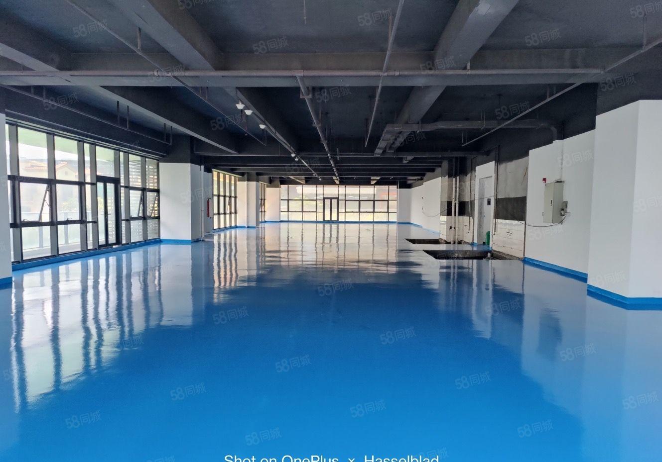 东莞长安原房东工业园区全新厂房20000平厂房出租200起分