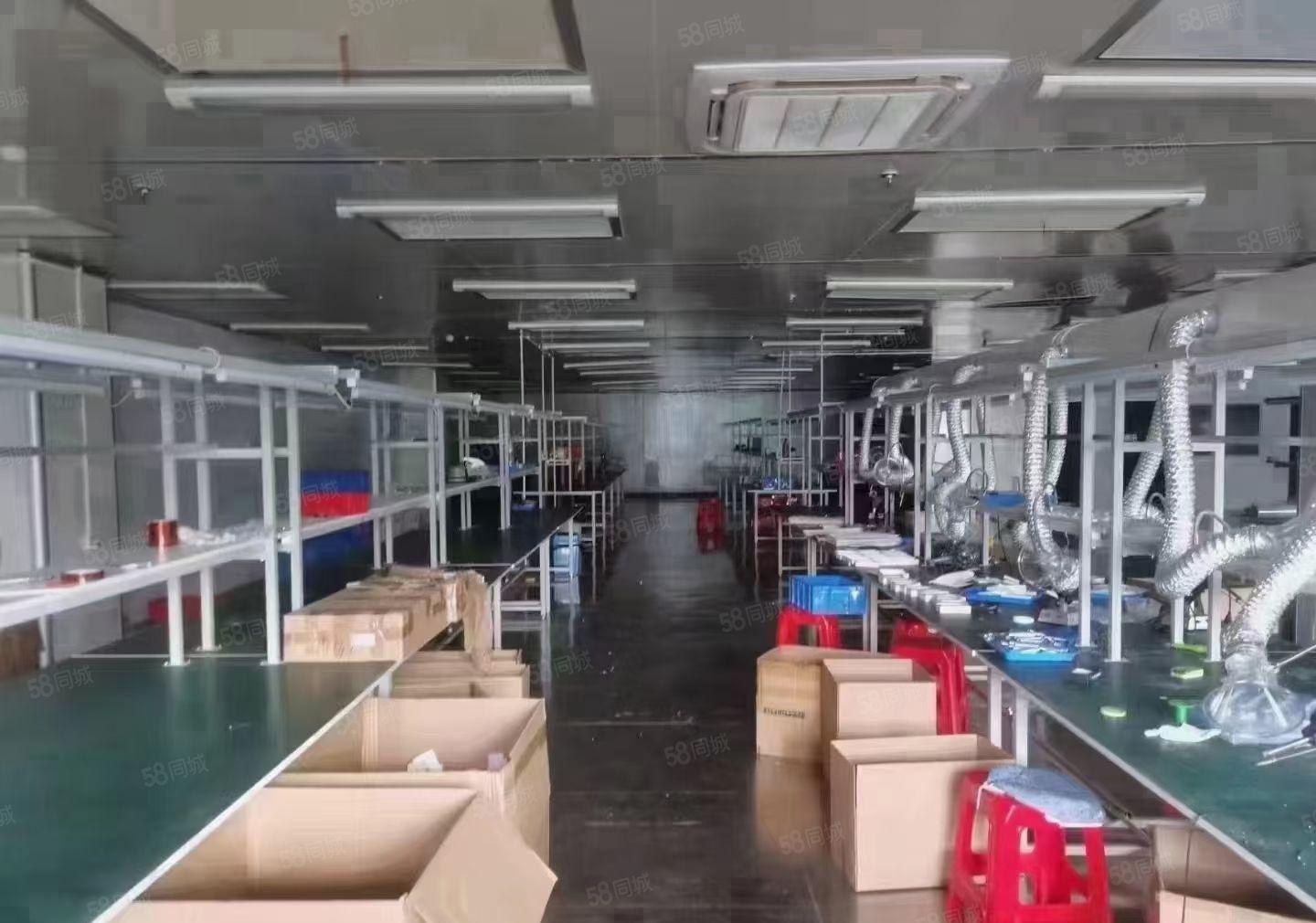 长安沙头成熟工业区楼上整层2000平方无尘车间，不用转让费