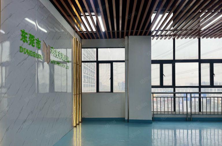 长安沙头 精装修1000平厂房出租 可分租 电子 五金 机加