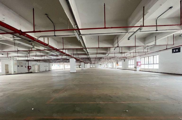 仓库 长安沙头 沿江高速3000平厂房出租 可分租 低价出租