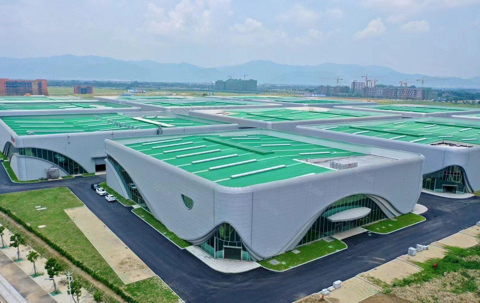 东莞长安模具产业园招租12万平米全新单一层钢构厂房