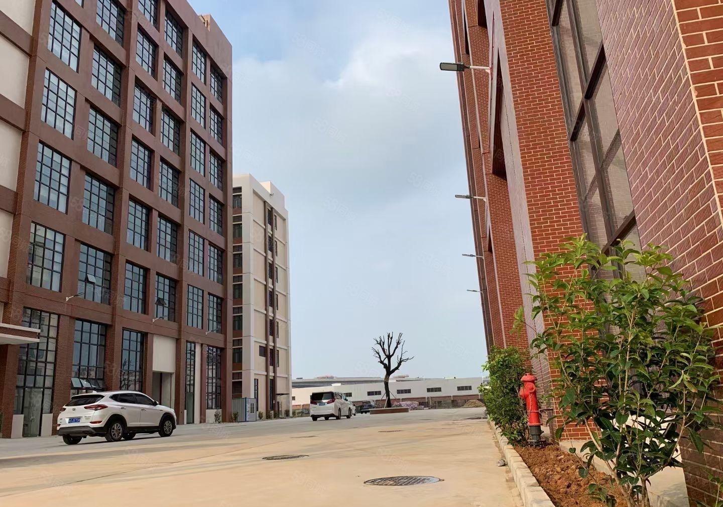 常平环保园厂房招租喷油喷粉注塑等拎包入驻可分租