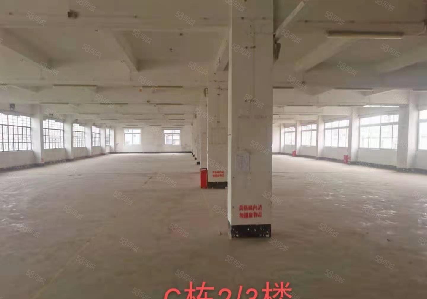 独门独院标准厂房出租，空地超大，人流量广。