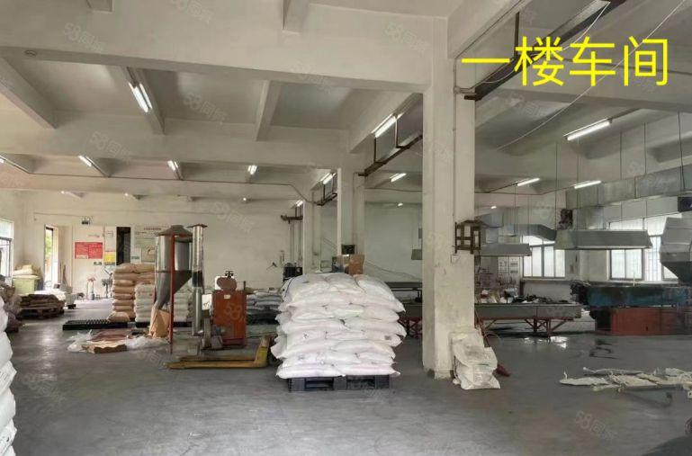 常平桥沥新出原房东独院3000平整租13元可以分租有装修