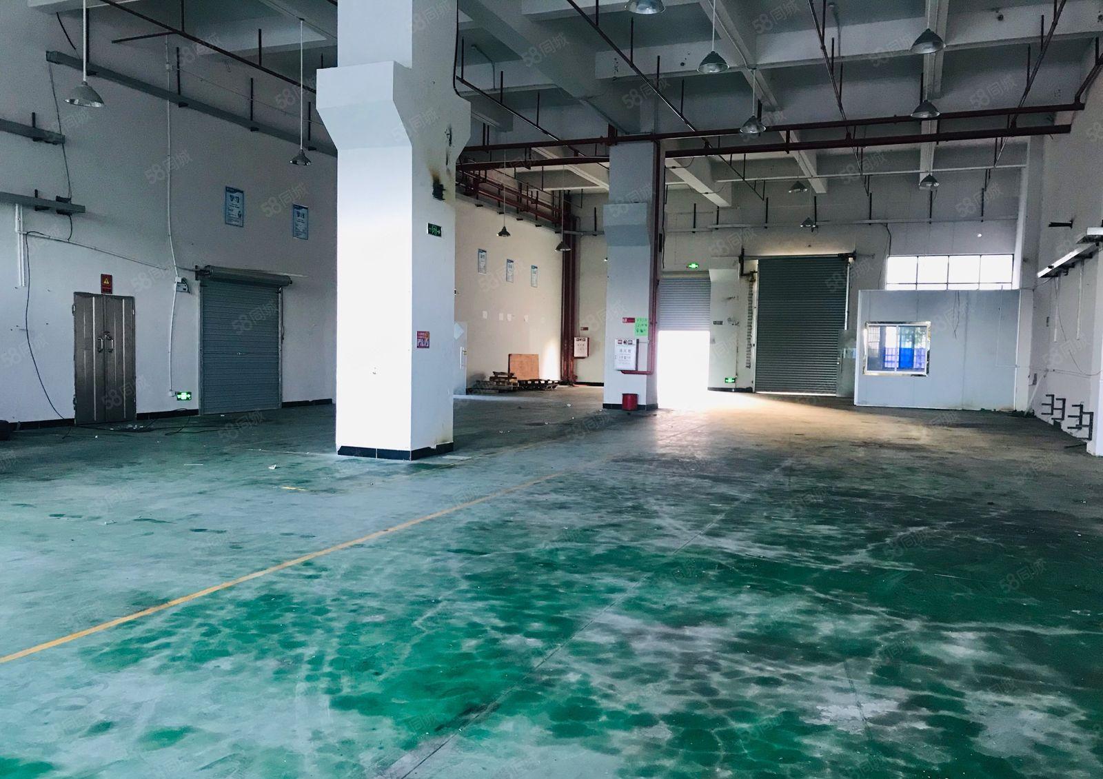 常平园区新出一楼800平带牛角工业用地厂房